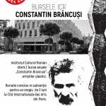 Afis-Burse Brancusi-Cite internationale des arts