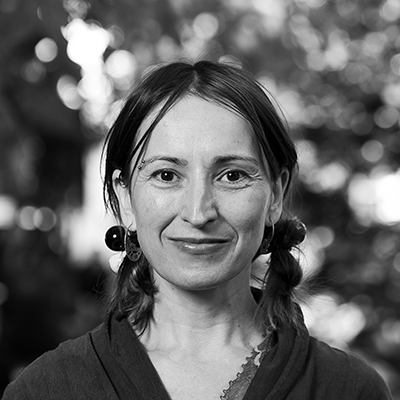 Anca Coller